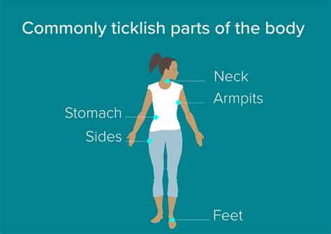 booty tickler meaning|why do people tickle.